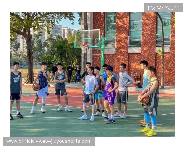 篮球视频教学在中国培训体系中的作用，篮球教育培训